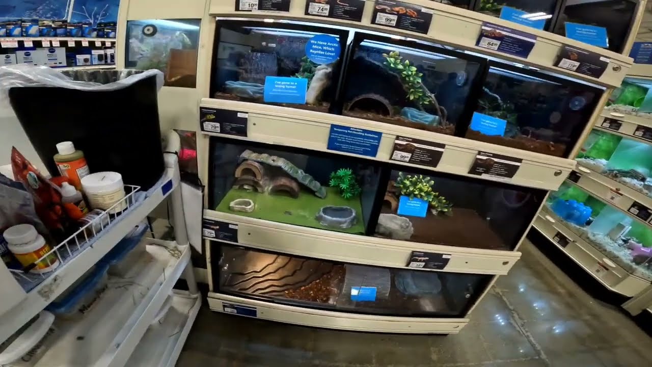Pet store walking tour Animals Adventure pet smart 펫 스토어 동물 구경