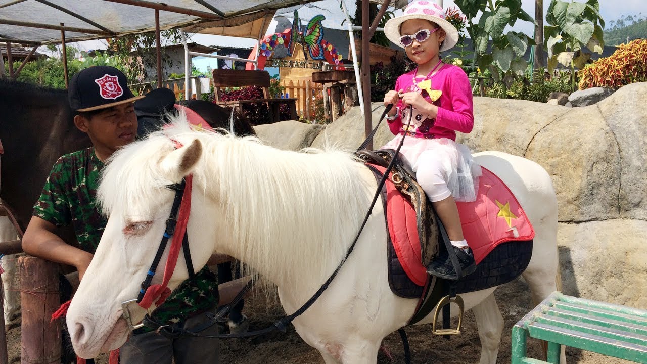 Senangnya Aqilla Naik Kuda Pony Warna Putih ♥ Kudanya Cute dan Jinak