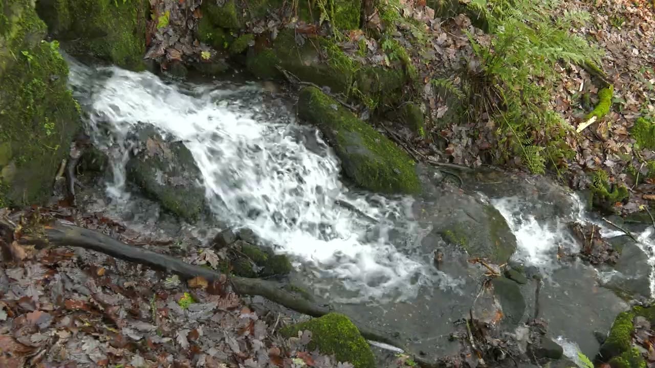 Fast Stream 1080p RAW