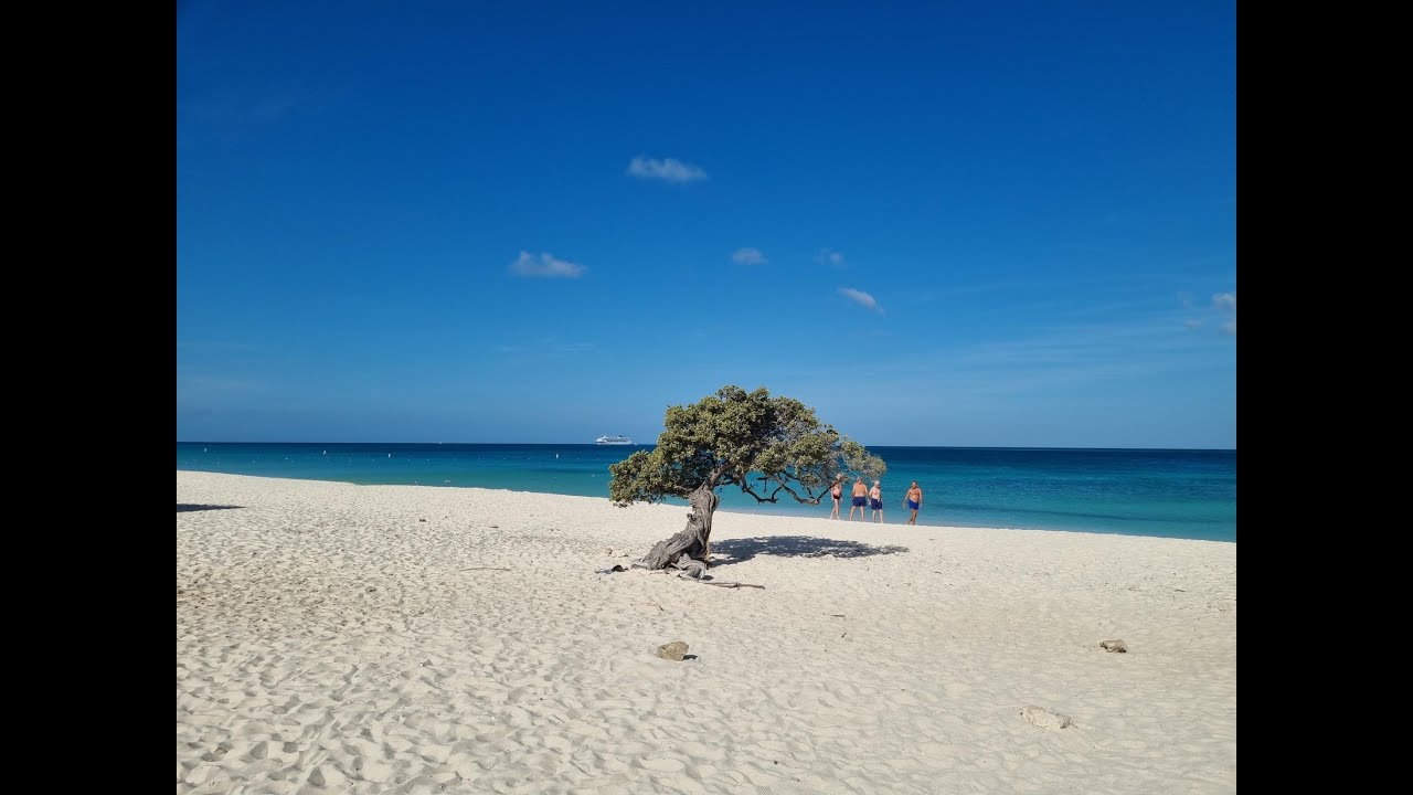 Eagle Beach walk & Daimari to the natural pool Walk