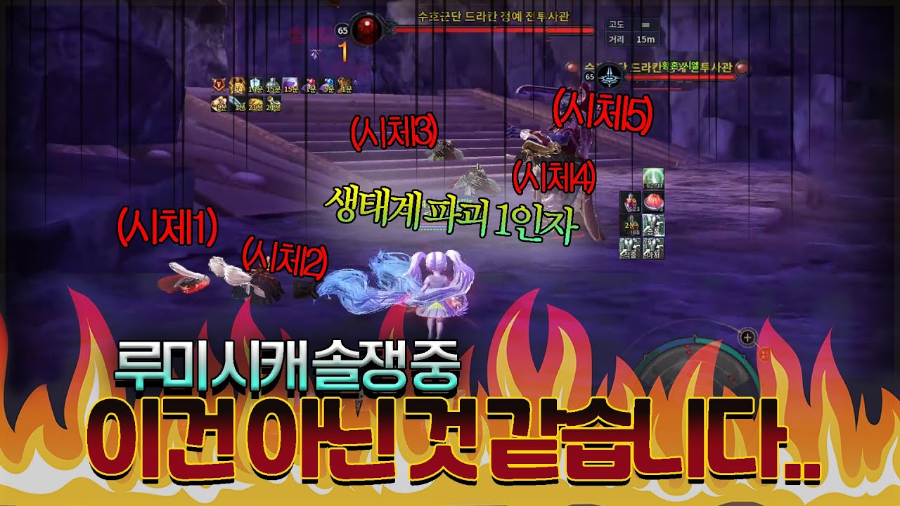 구섭 땅맵에서 루미네스 첫 솔쟁 체험
