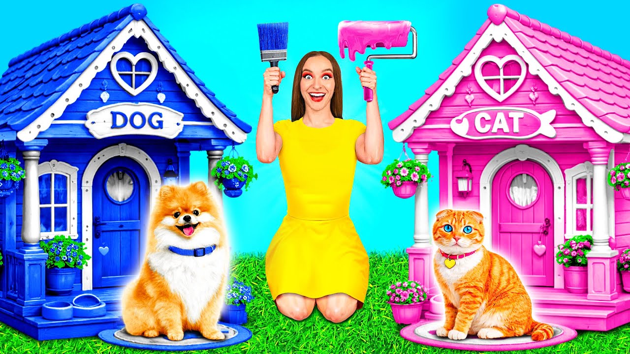 We Built a House For Pets | Funny Challenges by Crazy DO