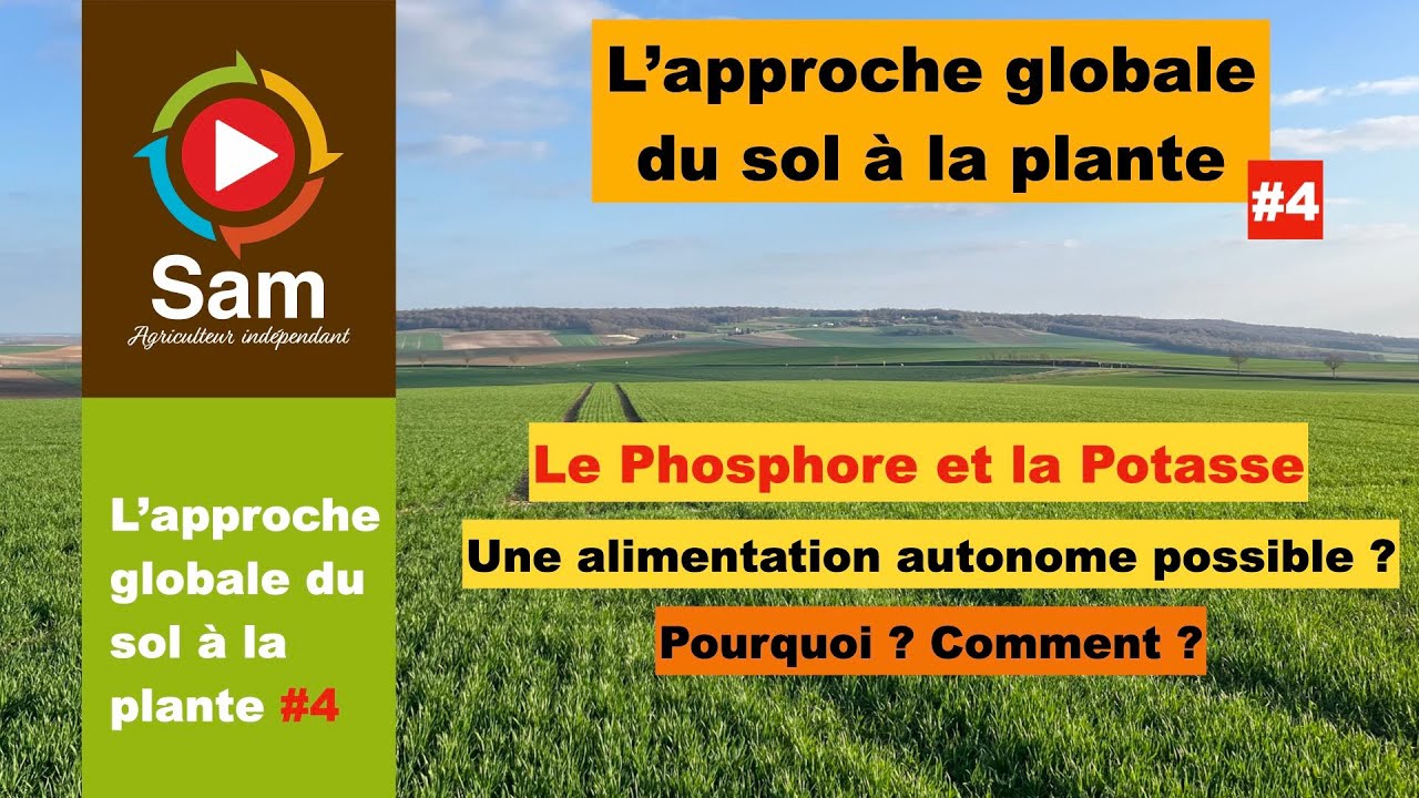 L'approche globale du sol à la plante #4 : La nutrition autonome des plantes. Phosphore et Potasse