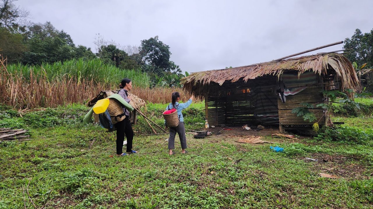A single mother has recovered, Cleaned up the abandoned bamboo house, And cooked meals for her child