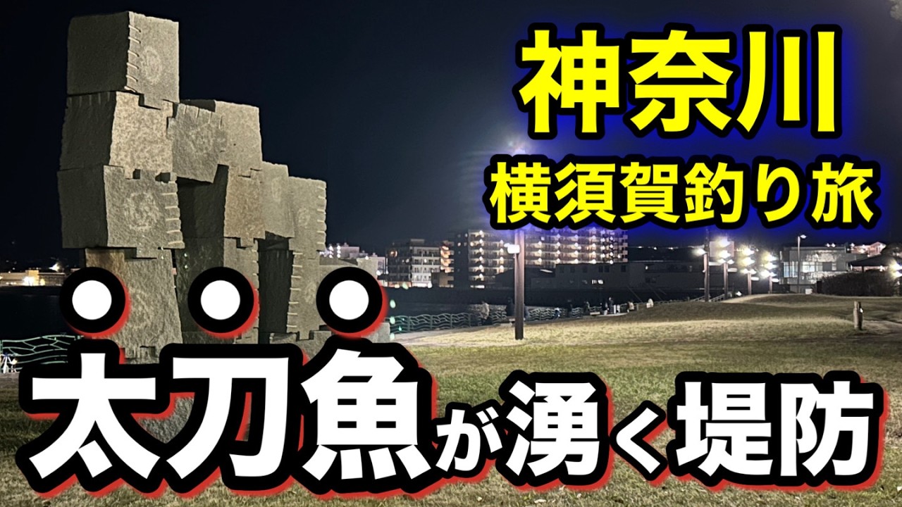 連日の大爆釣と噂と聞いて千葉から車中泊で釣り旅に！格安地魚海鮮丼のクオリティが驚き⁉︎【横須賀釣り旅】