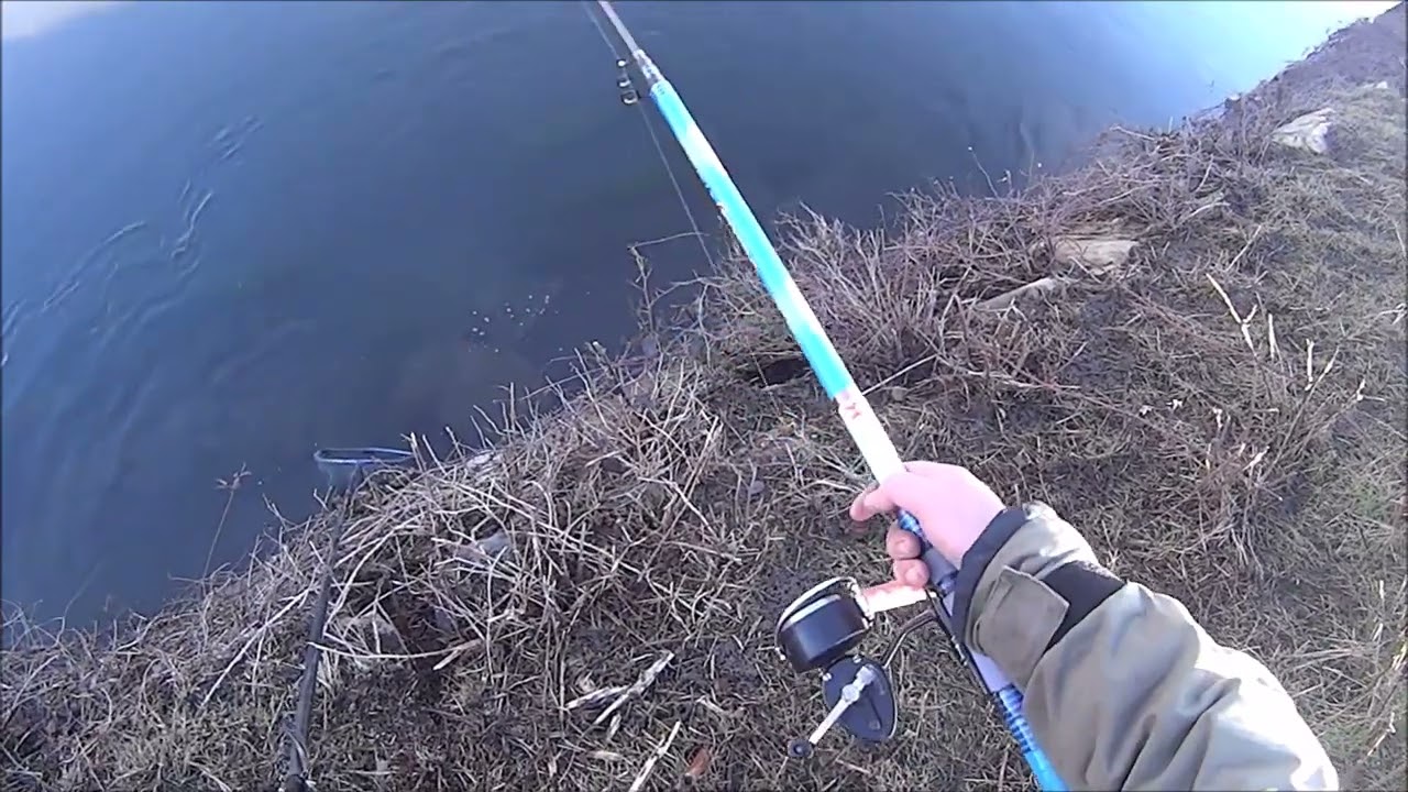 La pesca dei grossi barbi spiegata in 3 minuti