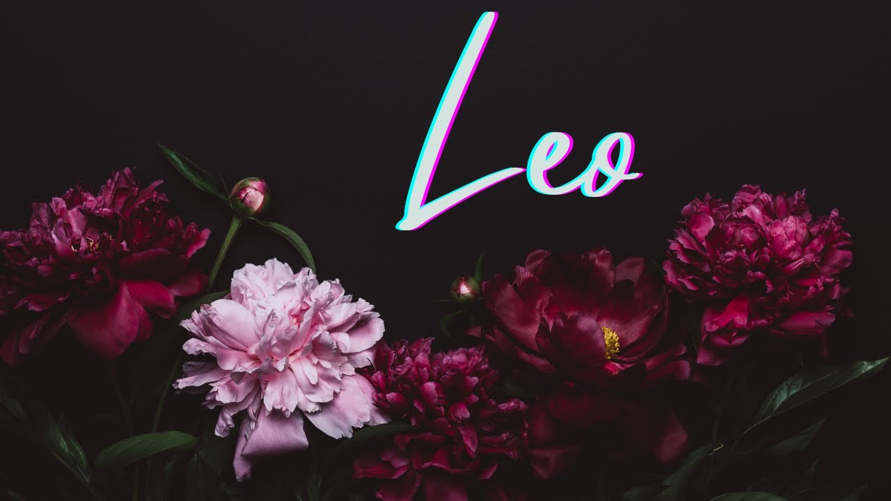 Leo🪷This Love Will Make You So Happy, Leo🖤You'll Be Together By Your Birthday (Aug)🪷Singles