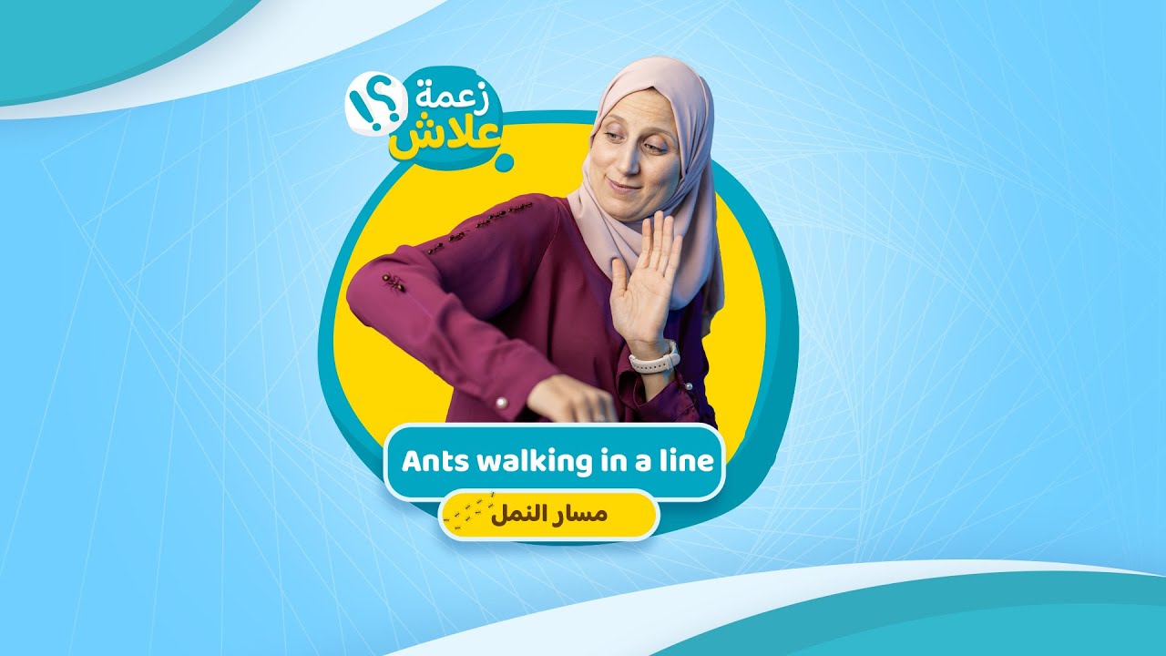 مسار النملة
