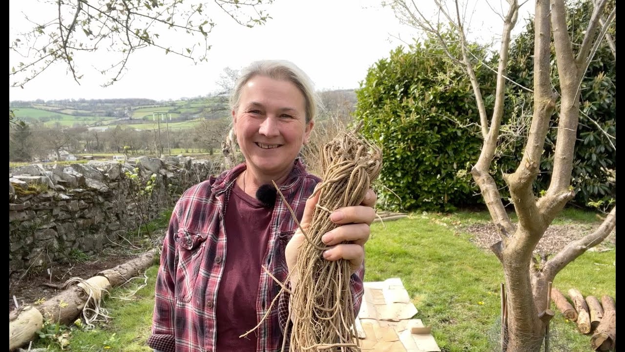 How to make a quick no dig asparagus bed