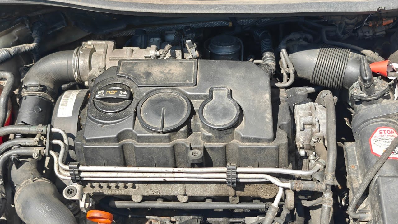 1.9Tdi co tak piszczy? Bls