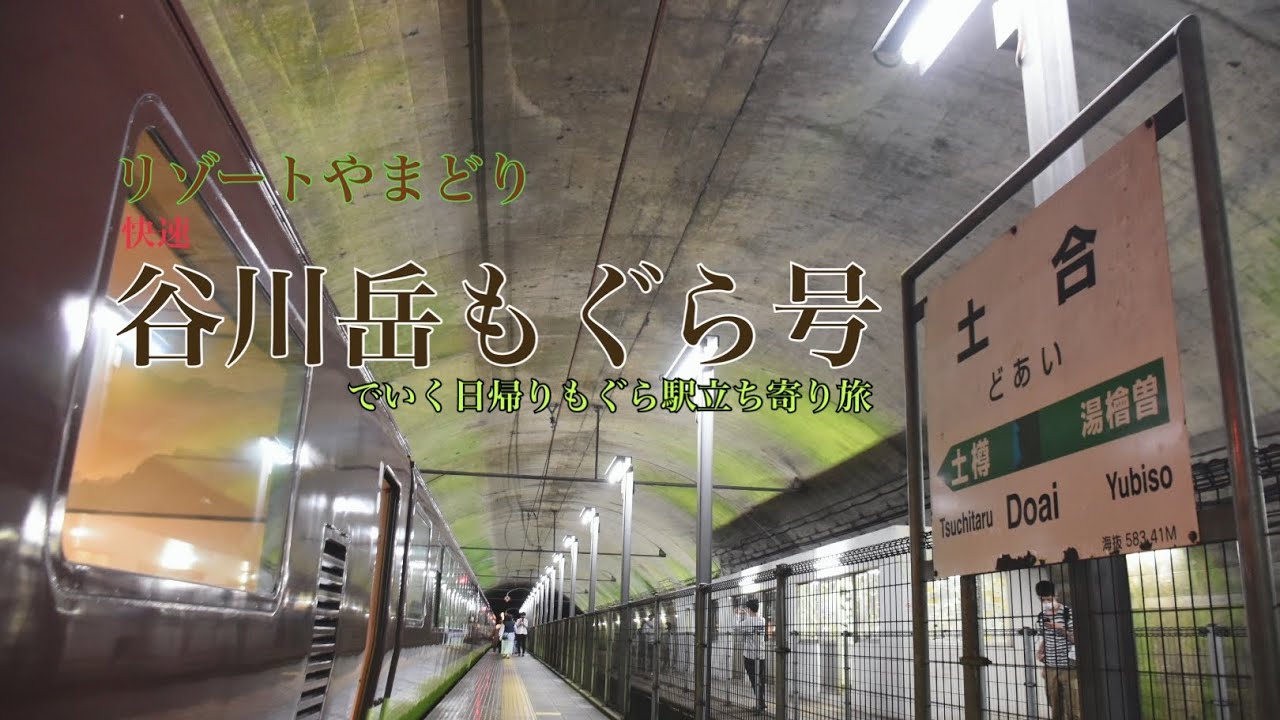 【乗り鉄Vlog】快速谷川岳もぐら号(リゾートやまどり)