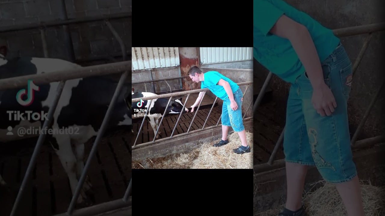 #boederij #trotsopdeboer #tiktok #stemzeweg