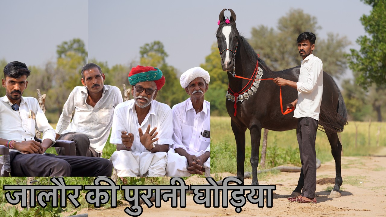कहाँ चली गई पुरानी ओध की घोड़िया जिनकी आज भी होती हैं कई  मठओं पर पूजा