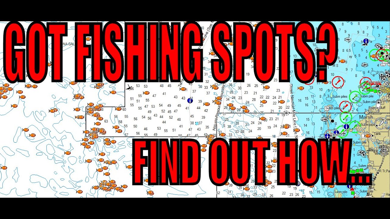 GPS Fishing Maps & Florida Fishing Spots - WHERE DO WE GET OUR PRO FISHING SPOTS?