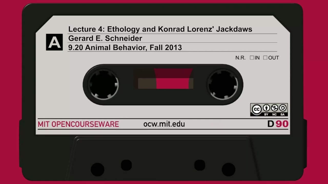 Lec4: Ethology and Konrad Lorenz' Jackdaws