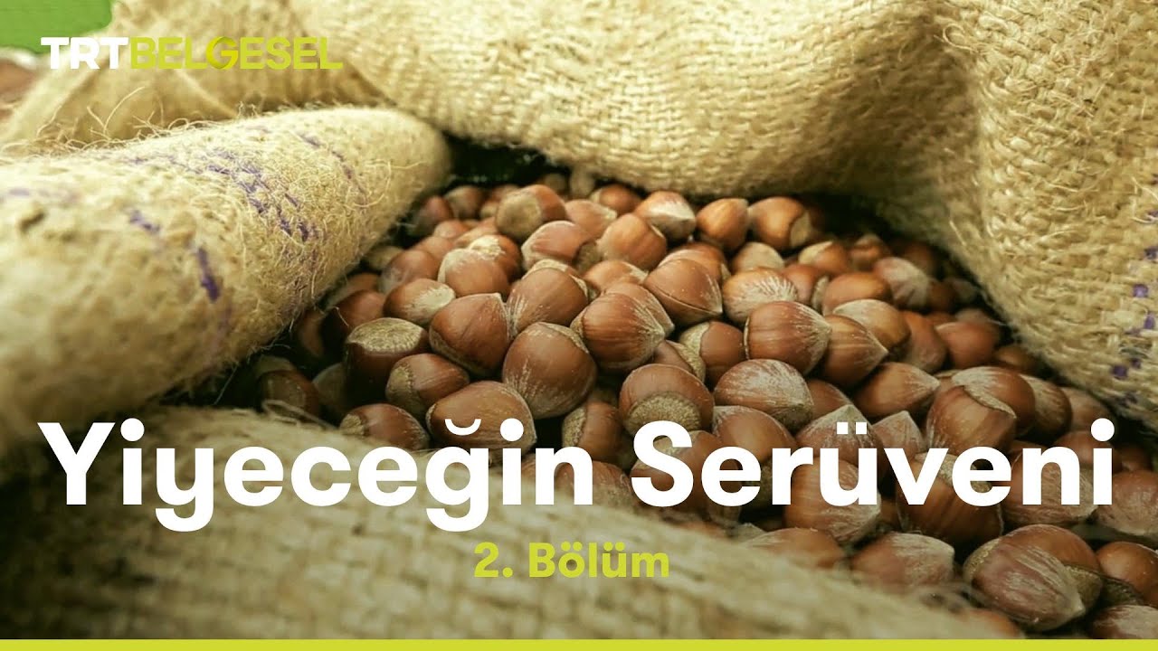 Yiyeceğin Serüveni | Fındık | TRT Belgesel