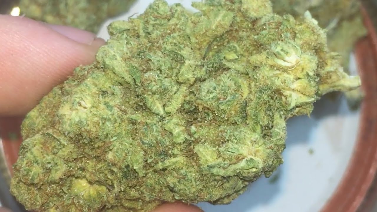 BANANA KUSH STRAIN REVIEW!