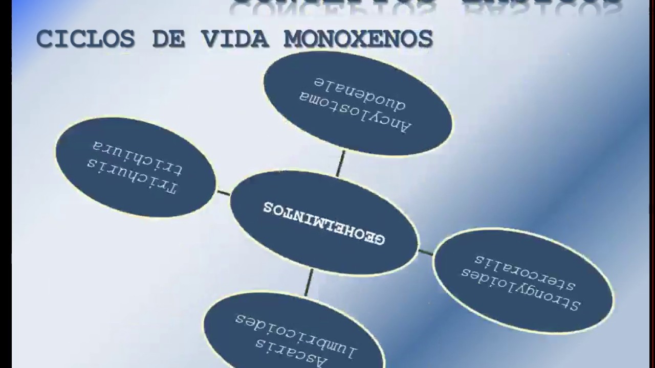 Introducción a la Parasitología I
