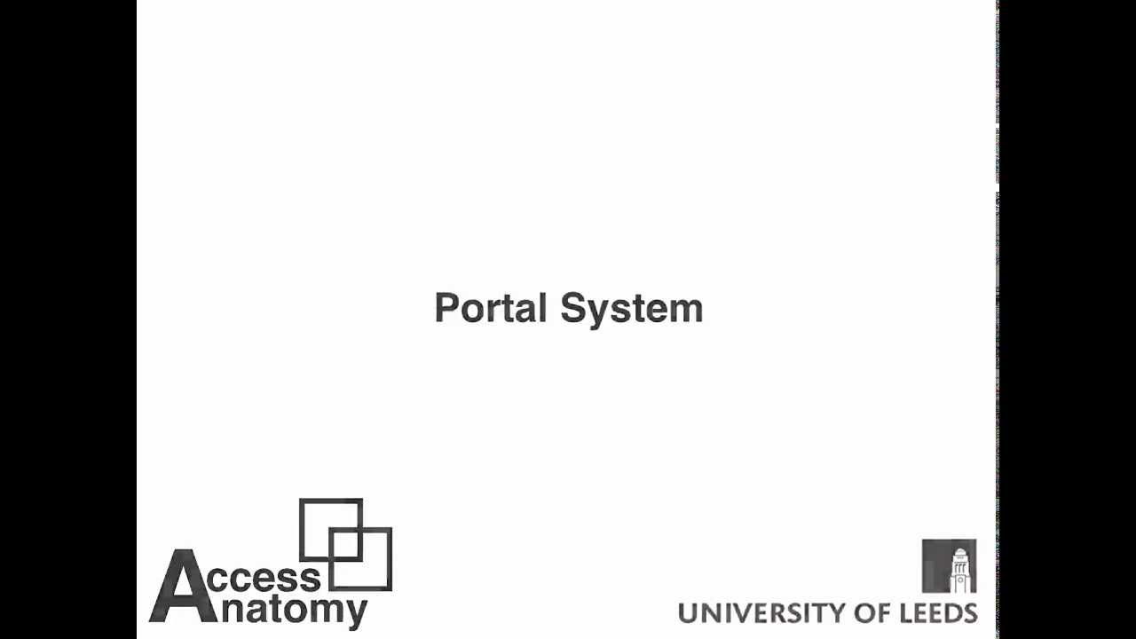 Portal system