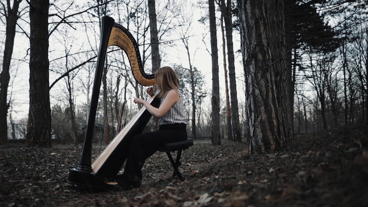 Loreena McKennitt - Stolen Child, harp cover by Belgradeharpist