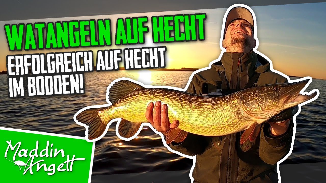Hecht PB beim Watangeln im Bodden!
