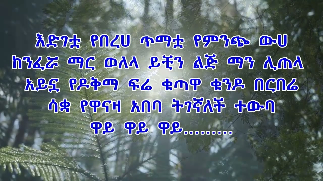 ኤልያስ ተባበል ሸጋ ናት ግጥም  Shega Nat Lyrics