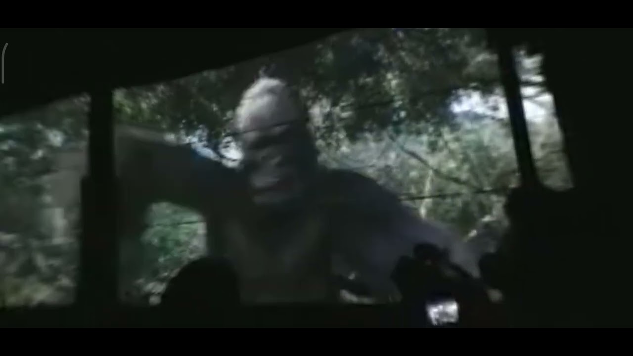 Kong ride