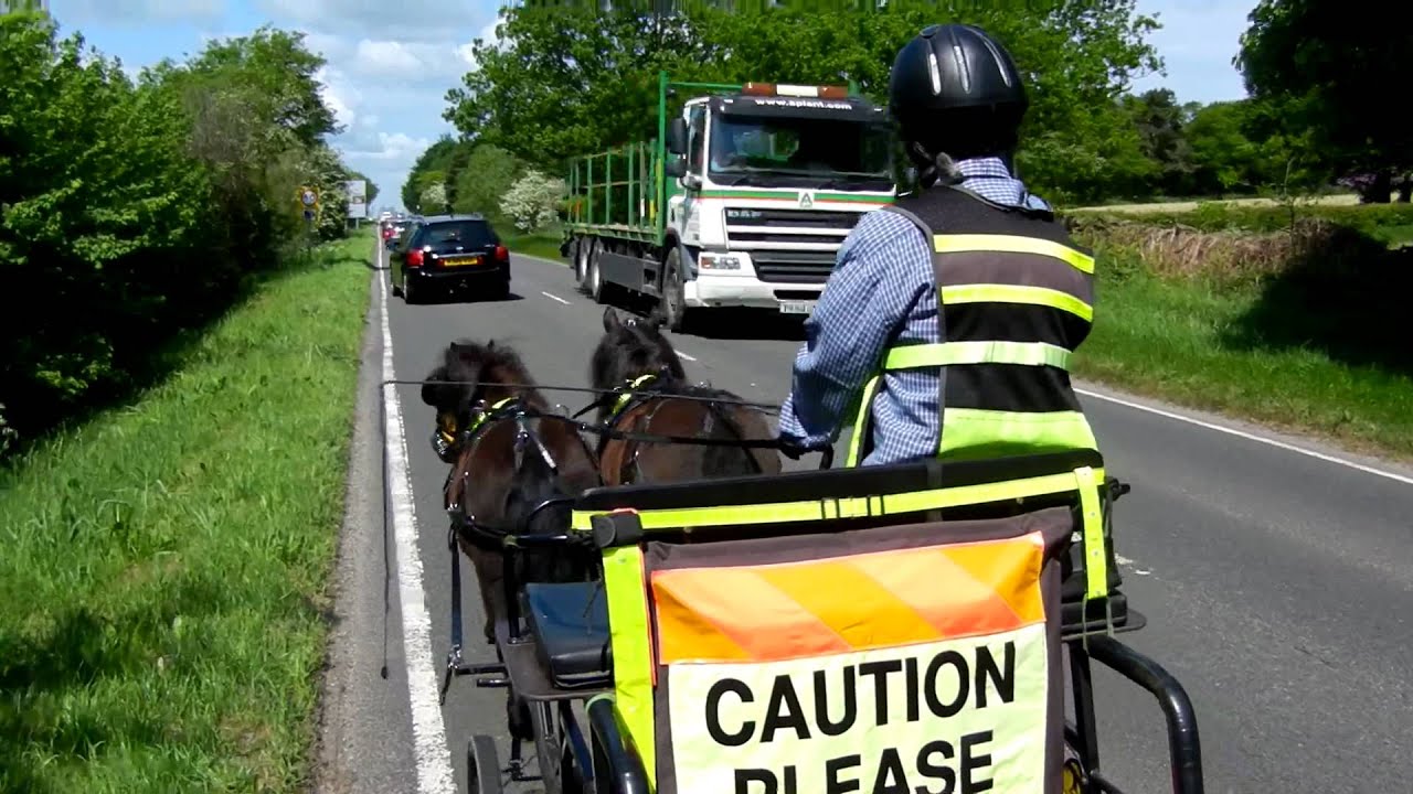 Alfie and Wally in traffic 2012.mov