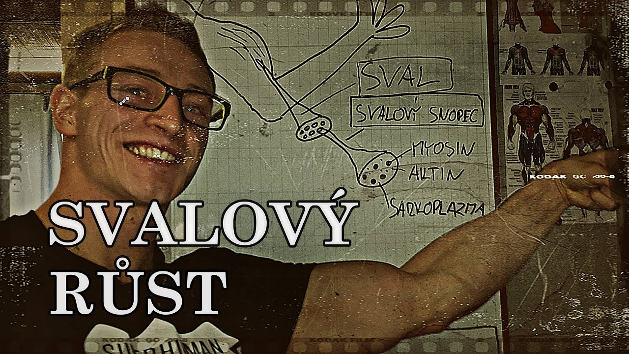 Svalová HYPERTROFIE | RŮST SVALŮ - Dva základní druhy | Aleš Lamka