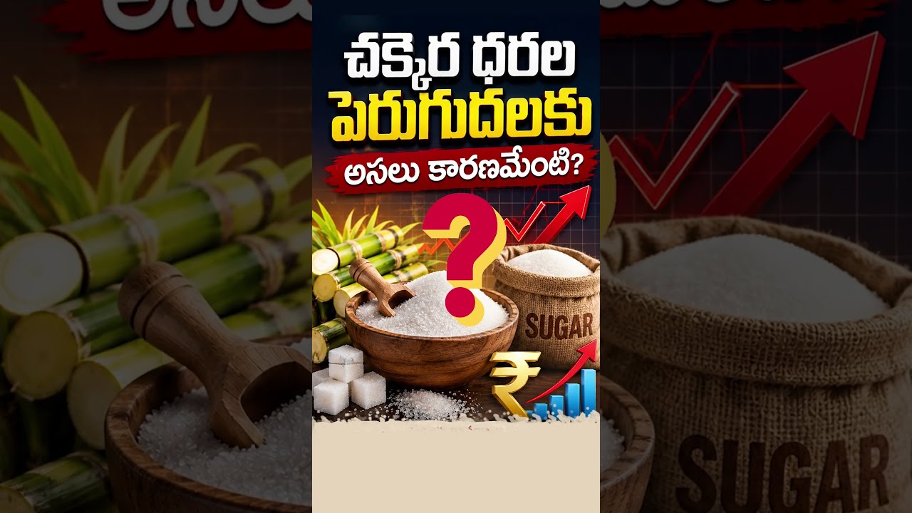 India's Sugar Sector Analysis: Reasons Behind Price Rise and Government Measures