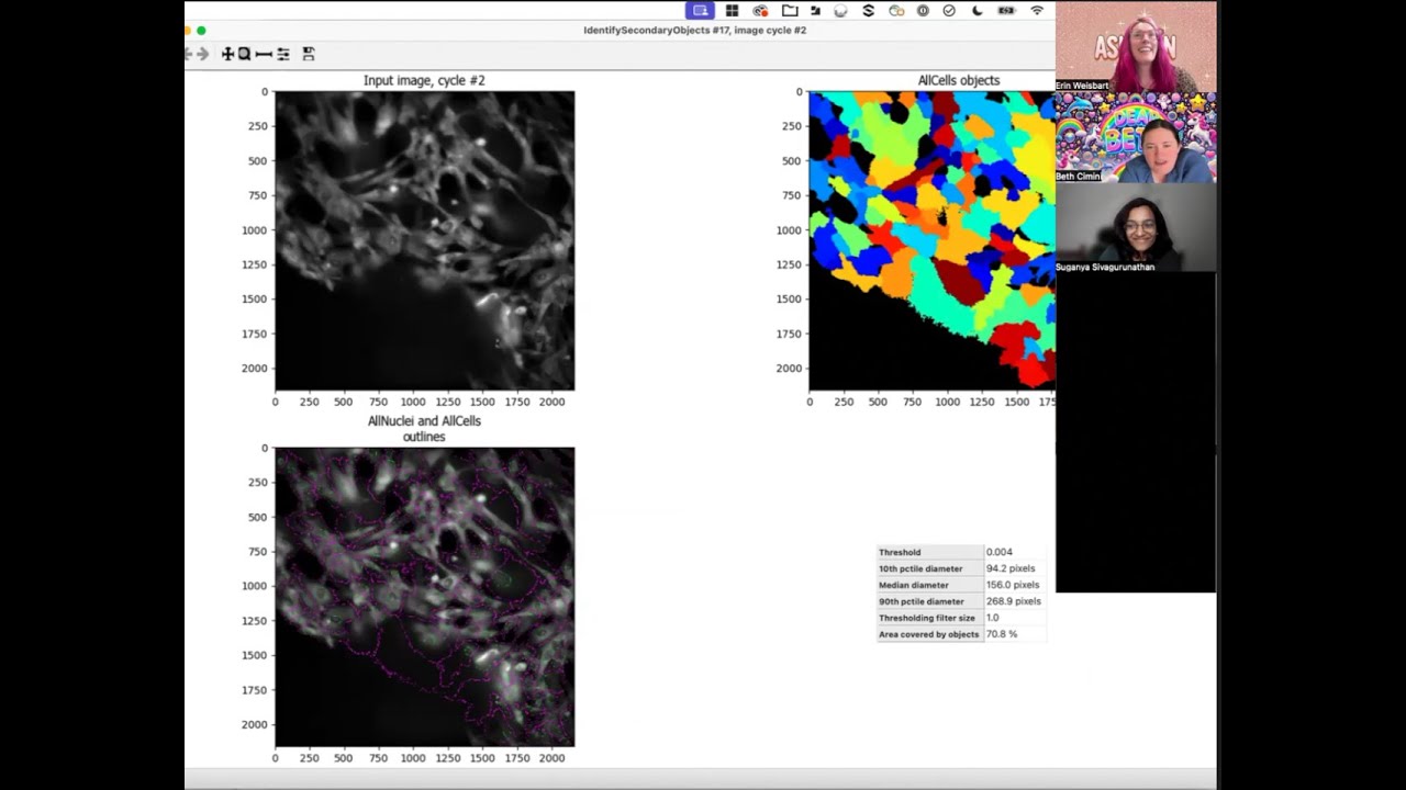 Segmenting Cells in Out-of-Focus Images in CellProfiler - AskErinDearBeth Episode 1