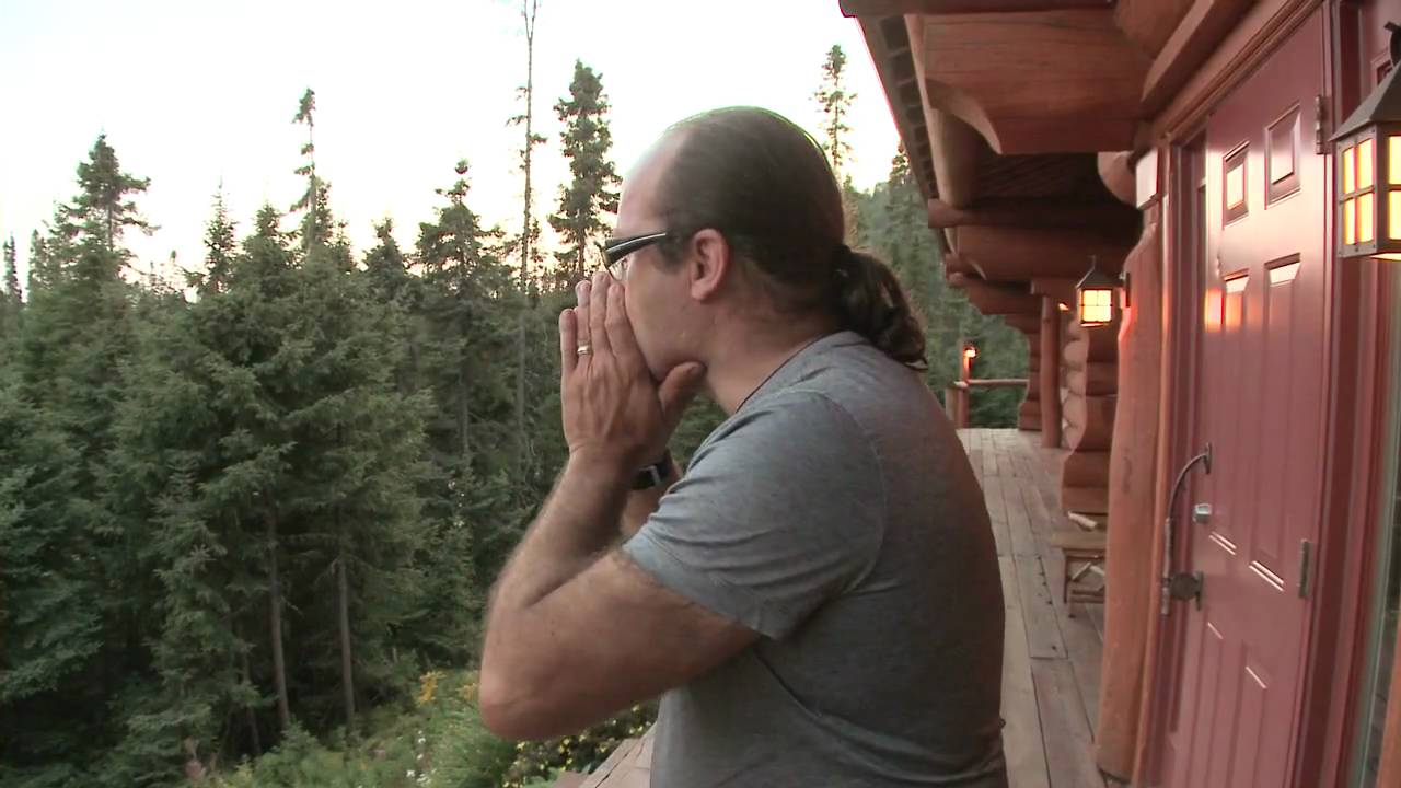 How to call a moose