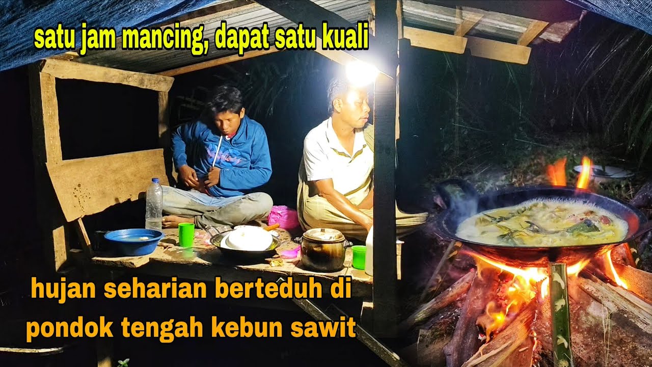 WAKTU YANG TEPAT UNTUK MANCING|| HUJAN DERAS DI MUSIM KEMARAU, BERLINDUNG DI PONDOK KEBUN SAWIT