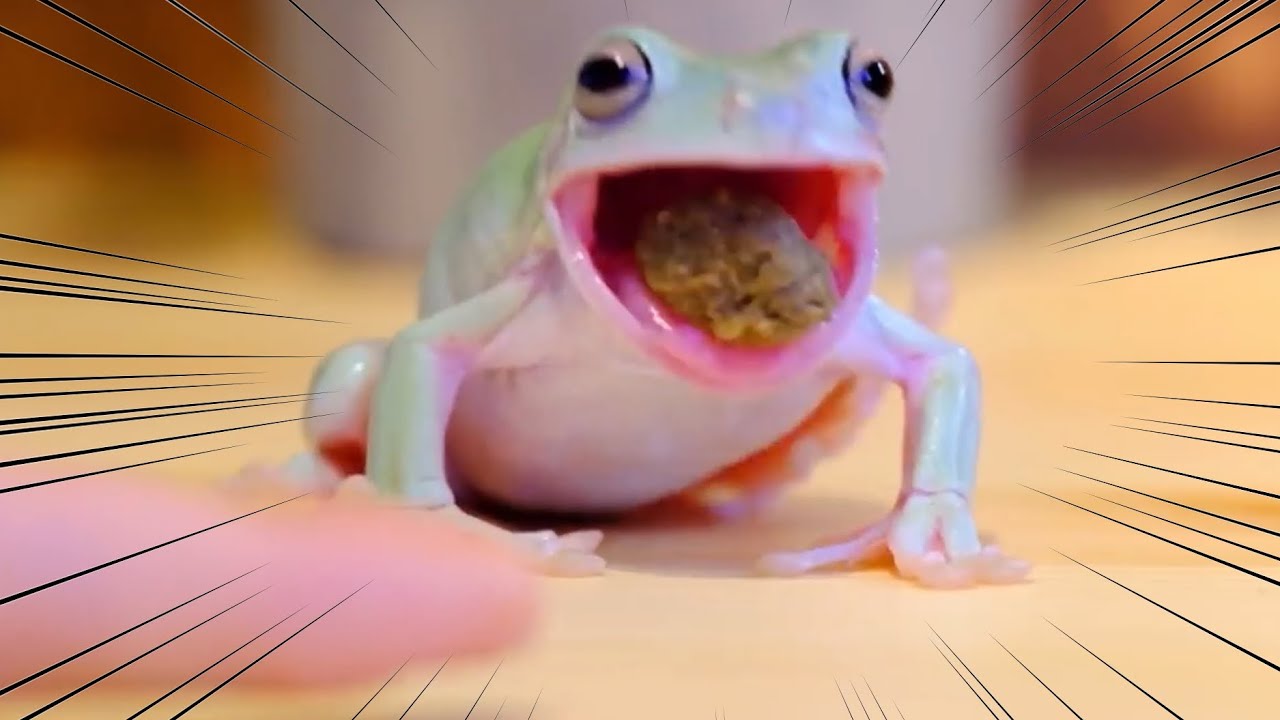 ぐわぁぁぁぁぁぁあ！！！