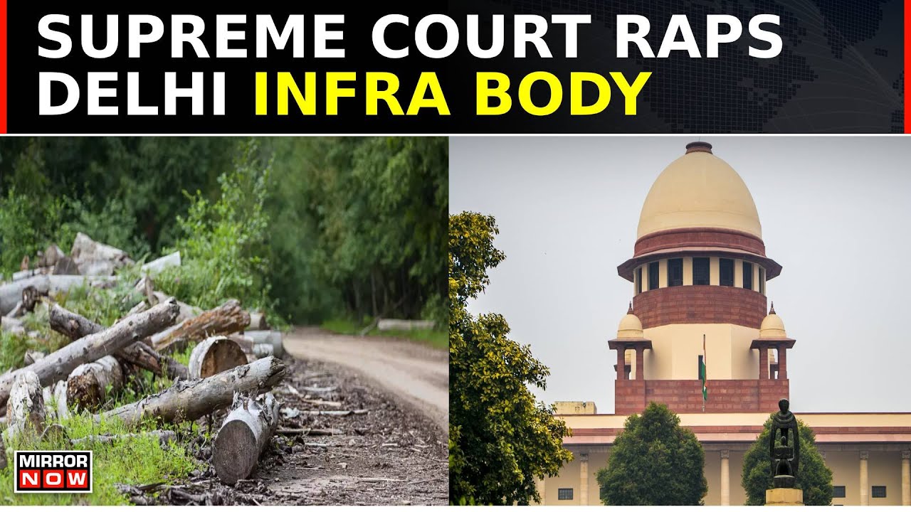Supreme Court Rebukes DDA For Illegal Cutting Of 1,100 Trees In Delhi's Ridge Area | Top News