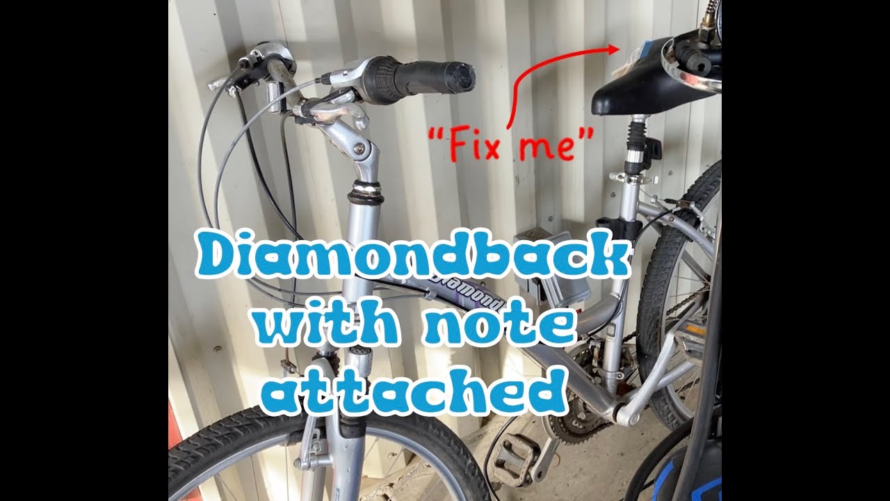 Diamondback (Something-Wood) Step-Through Needs a Quick Tuneup