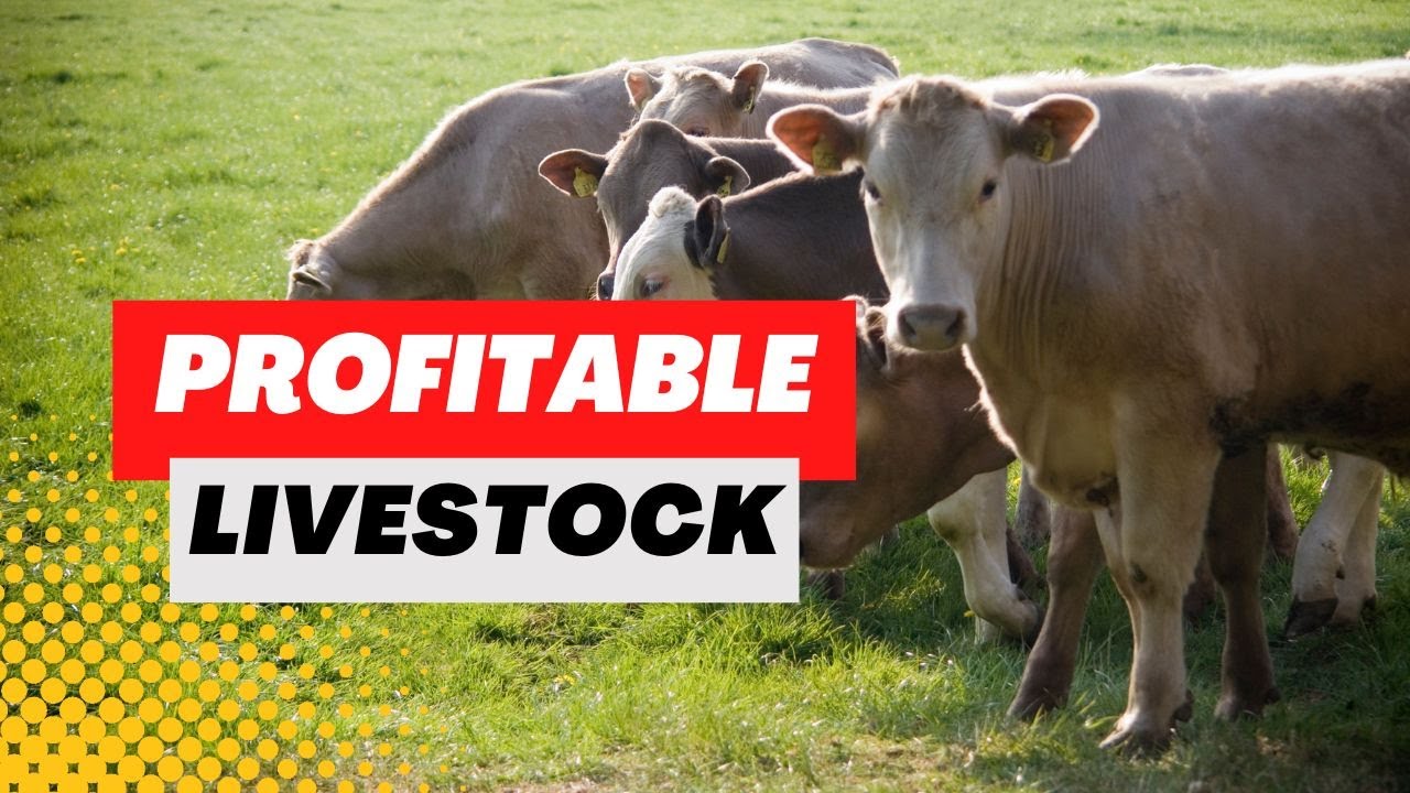 Raising Livestock for Profit: The Best Farm Animals to Raise