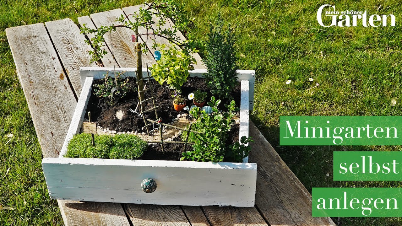 Kleiner Garten, gro&szlig;e Wirkung: So legst du deinen eigenen Minigarten an