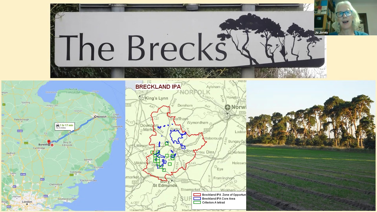 Saving the Wild Flowers of the Brecks (Spring into Action talk)