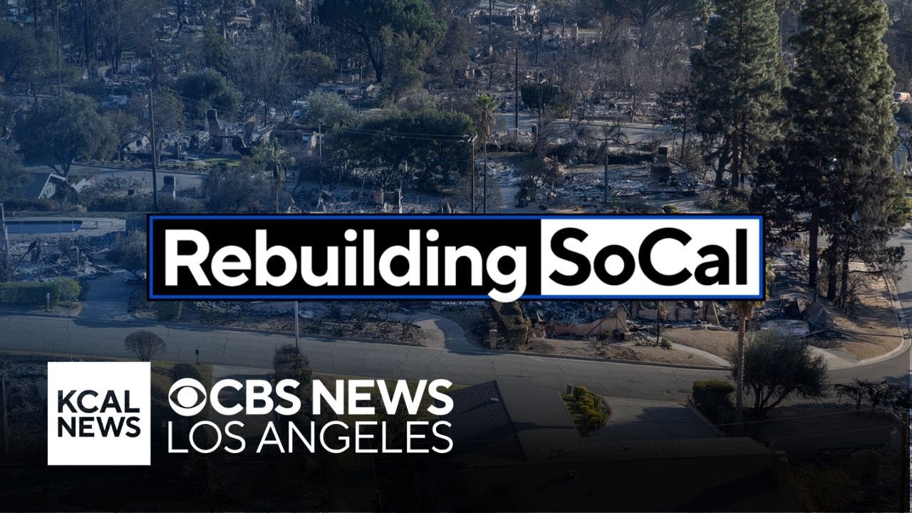 A look from above of the LA Fires nearly three months later with Desmond Shaw: Full Special