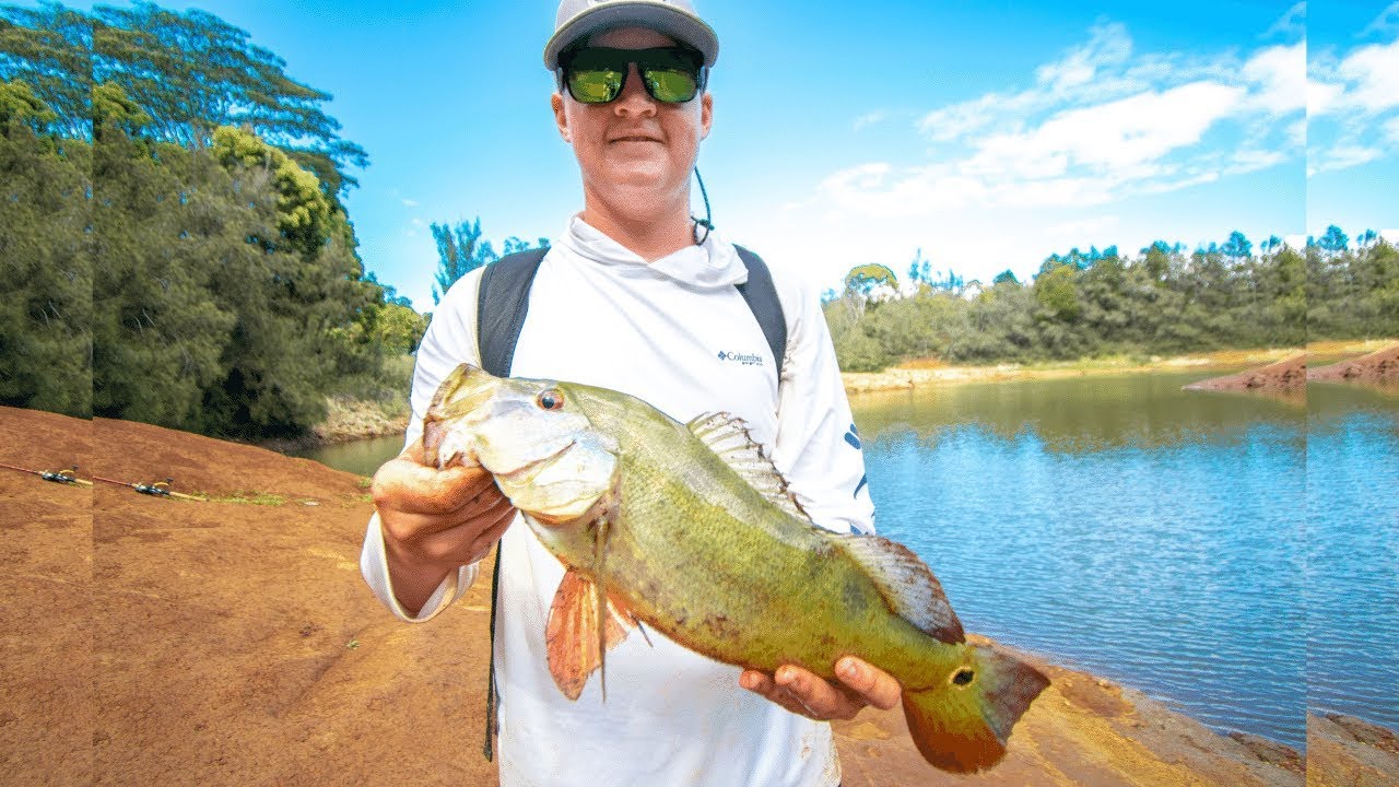 Fishing in Hawaii for Peacock Bass II Multi Species Day at Lake Wilson, Wahiawa, Oahu
