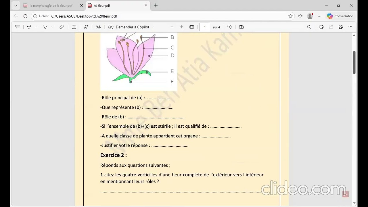 [PREPA 1 - 2025 / 2026] [BG] [Biologie végétale] TD: La morphologie de la fleur