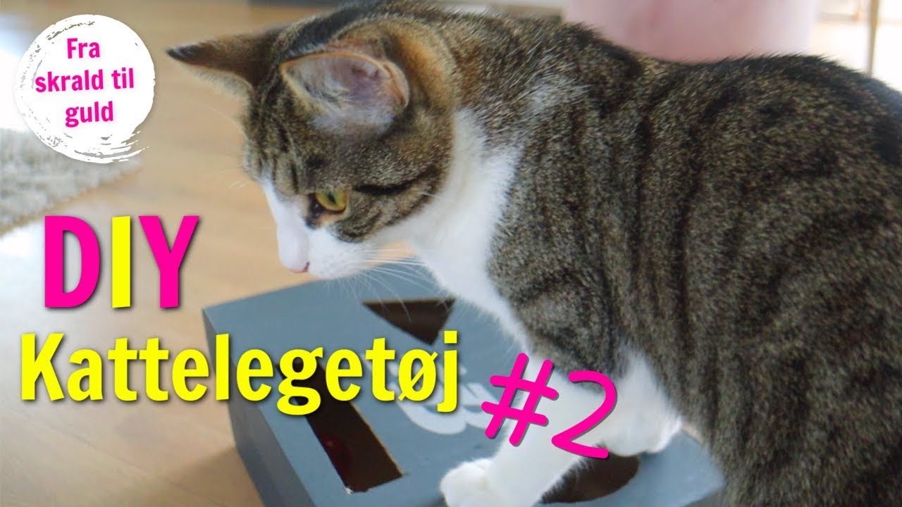 DIY kattelegetøj #2😻 // fra skrald til guld♻️