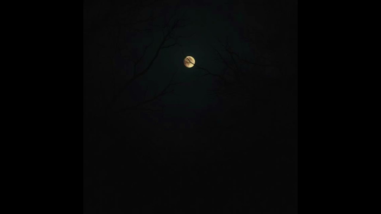Through the Darkness - #edm #Trance #Worldbeat #breakbeat #downtempo #electronica
