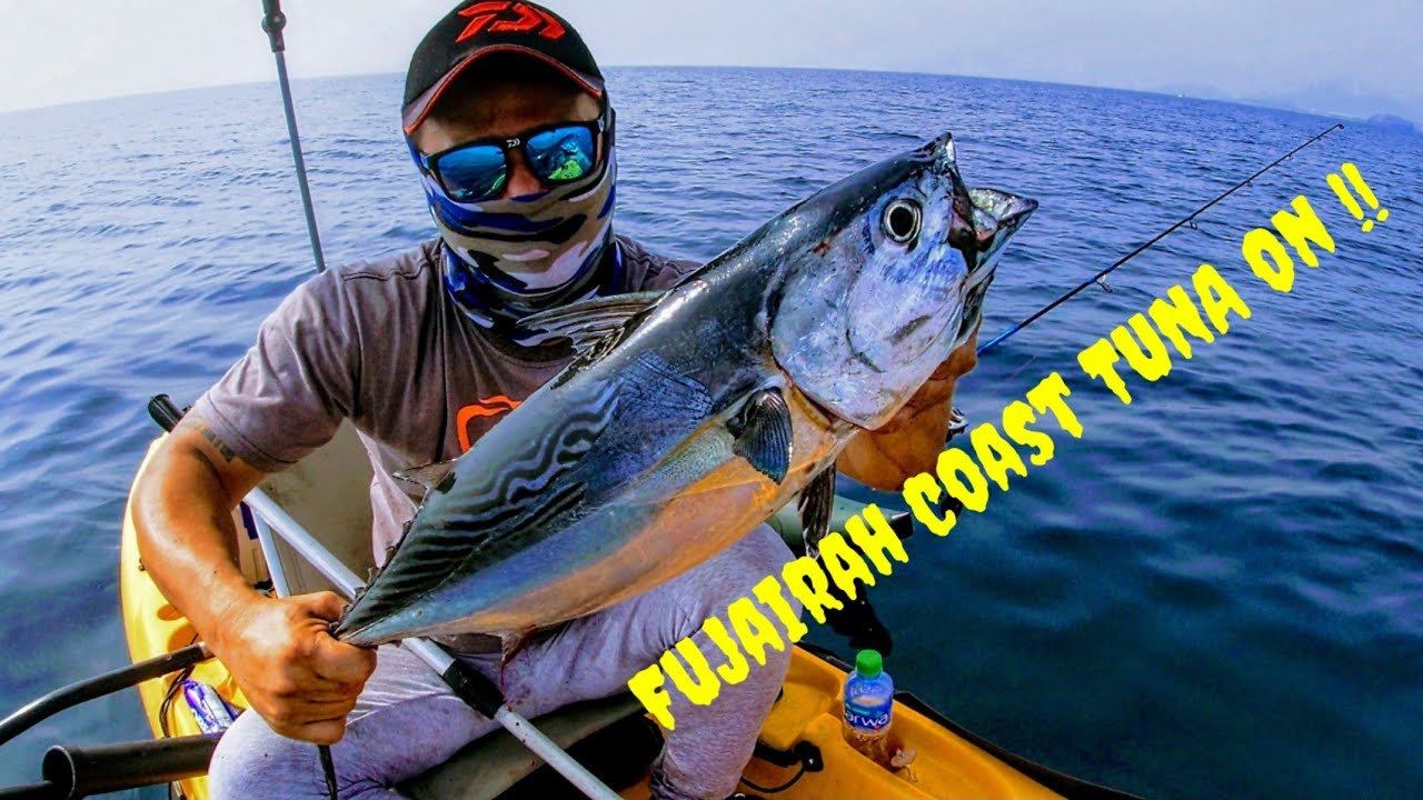 6 Tuna || 1 Bonito || UNLOCK || Fujairah kayak fishing || UAE