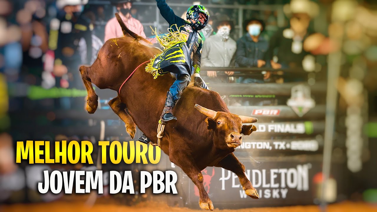 O touro WOOPAA conquistou $150 MIL D&Oacute;LARES na PBR