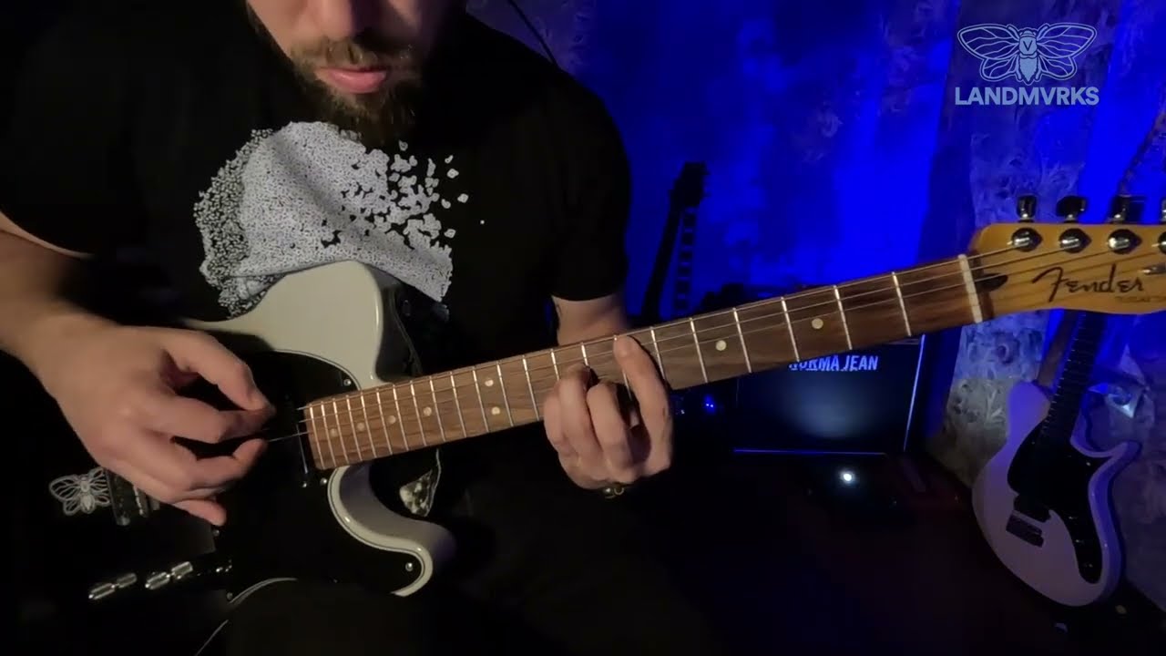 LANDMVRKS - La Valse Du Temps 🇫🇷 Live Guitar Cover, from Ukraine 🇺🇦