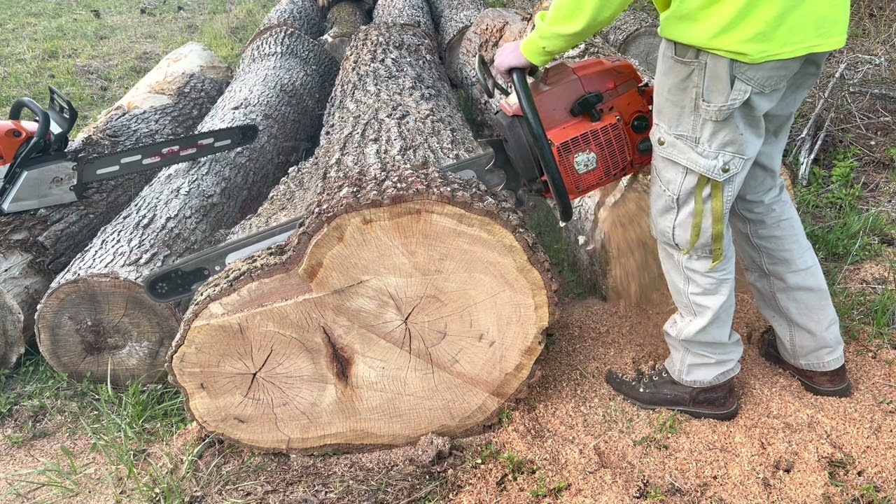 Hotrod Husqvarna 2101xp wood test! (Ported)