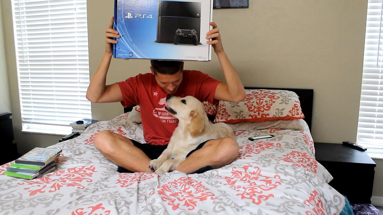 PS4 Giveaway! - 99Gamers