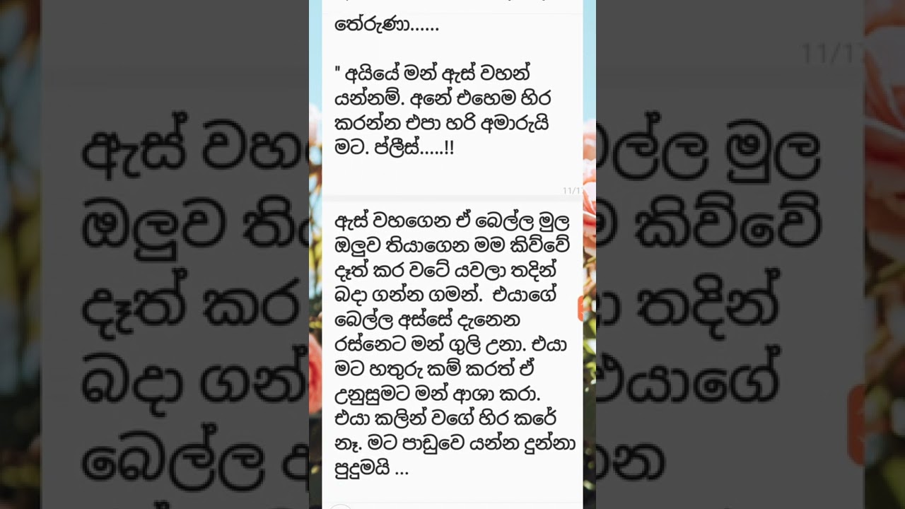 රුදුරු සිත් - 5